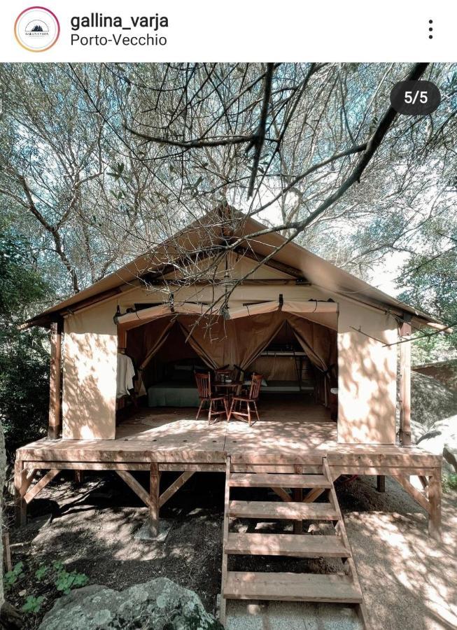 Camping Gallina Varja Sotta Exteriör bild